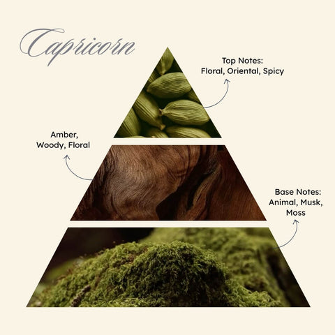 Zodiaque Capricorn: The quietly determined
