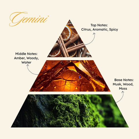 Zodiaque Gemini: The twin current