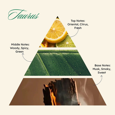 Zodiaque Taurus: The rooted spirit