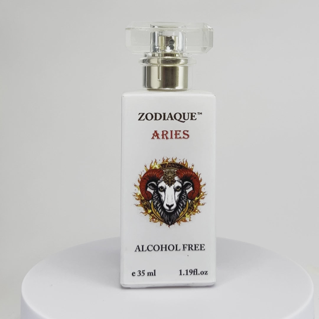 Zodiaque Aries: The bold flame